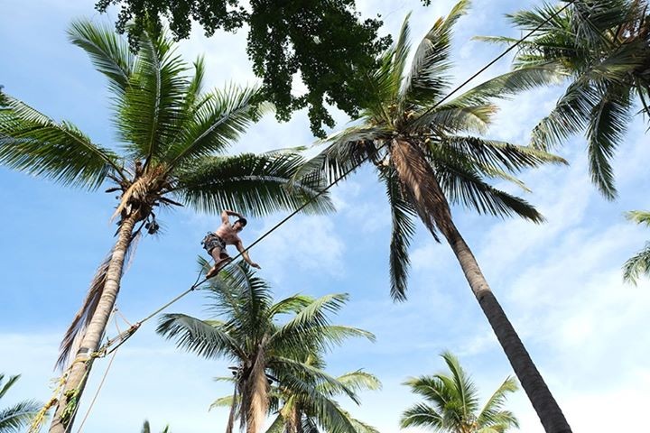 Bon ok, c'est de la Treeline, je sais.