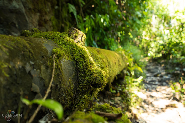 Une petite mousse svp.