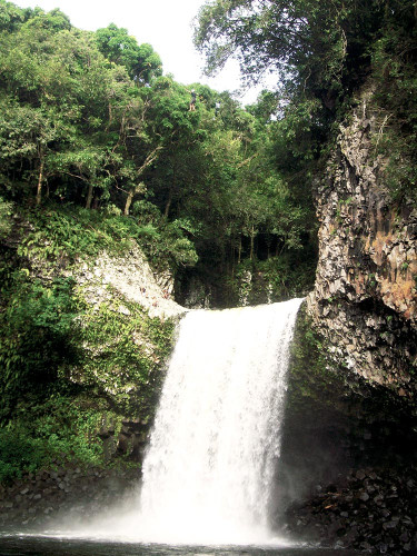 Le jeux: trouver le Slackeur.