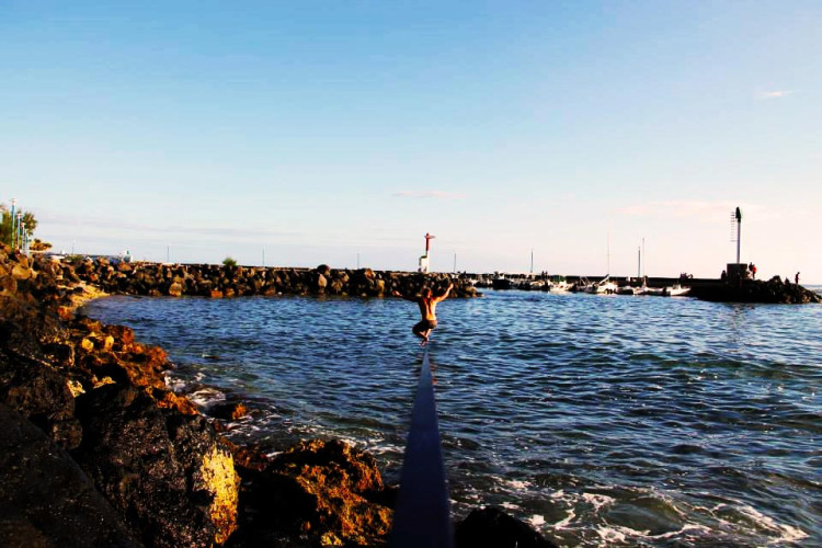 Je l'aurais appelé plutôt Requin'attack, mais ça aurait été de mauvais goût, et irrespectueux...