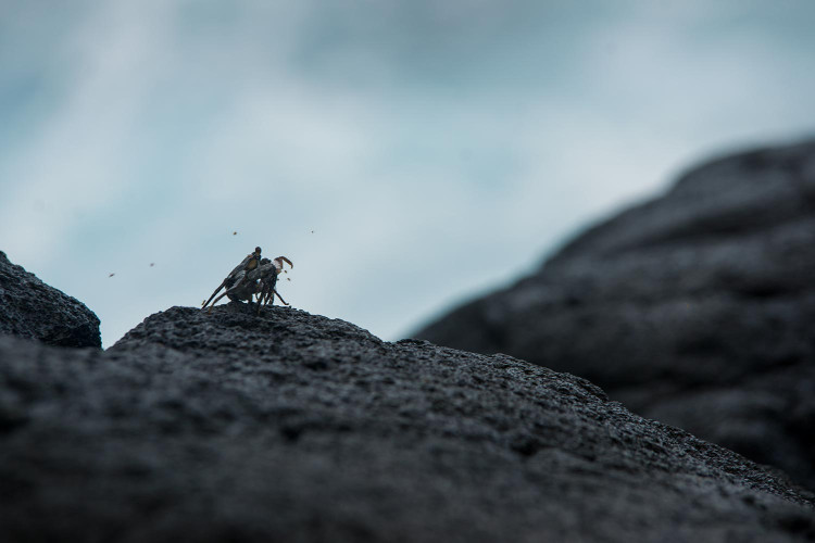 Et oui, on a aussi nos groupies!