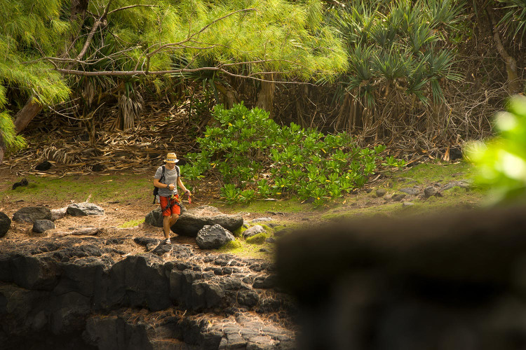 Allez-retours sans cesse pour Bertrand.